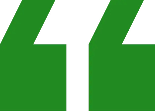 Green quotation mark symbol on a transparent background.
